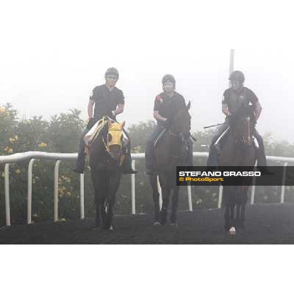 Morning track works at Meydan on friday 25th - Buena Vista and Transcend come back to the stable after morning track works Dubai - Meydan 25th march 2011 ph.Stefano Grasso