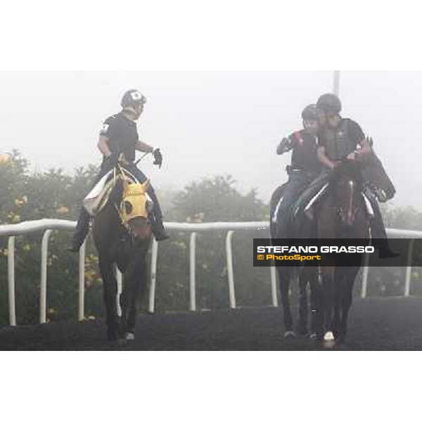 Morning track works at Meydan on friday 25th - Buena Vista and Transcend come back to the stable after morning track works Dubai - Meydan 25th march 2011 ph.Stefano Grasso