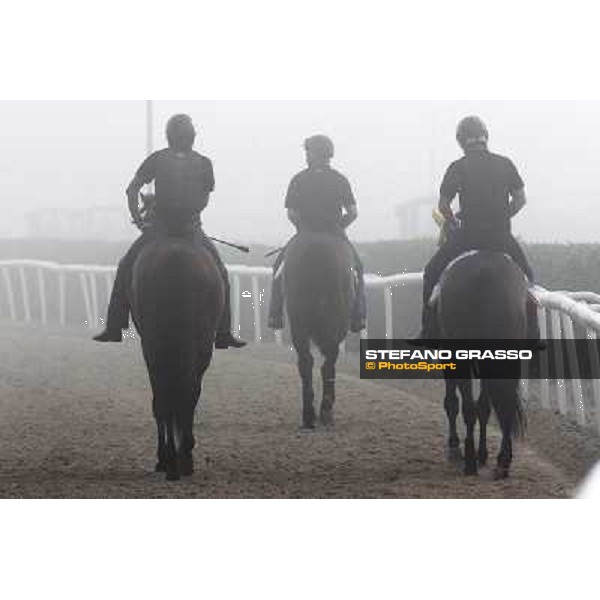 Morning track works at Meydan on friday 25th - Buena Vista and Transcend return home Dubai - Meydan 25th march 2011 ph.Stefano Grasso