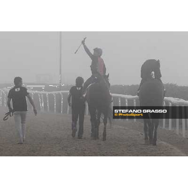 Morning track works at Meydan on friday 25th Dubai - Meydan 25th march 2011 ph.Stefano Grasso