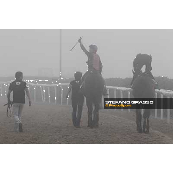 Morning track works at Meydan on friday 25th Dubai - Meydan 25th march 2011 ph.Stefano Grasso