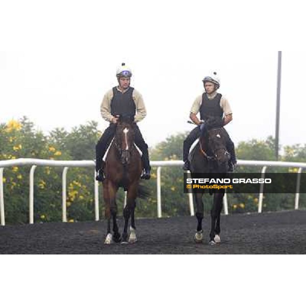 Morning track works at Meydan on friday 25th - Presvis (left) comes back to the stable after morning track works Dubai - Meydan 25th march 2011 ph.Stefano Grasso
