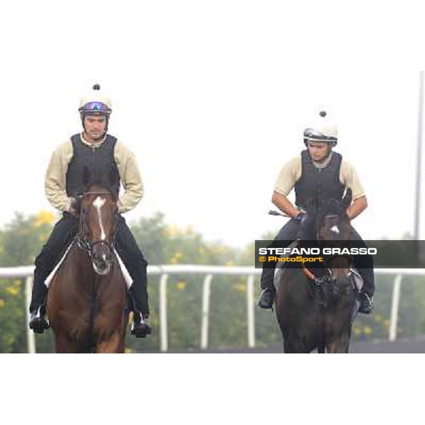 Morning track works at Meydan on friday 25th - Presvis comes back to the stable Dubai - Meydan 25th march 2011 ph.Stefano Grasso