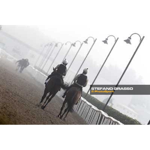 Morning track works at Meydan on friday 25th Dubai - Meydan 25th march 2011 ph.Stefano Grasso