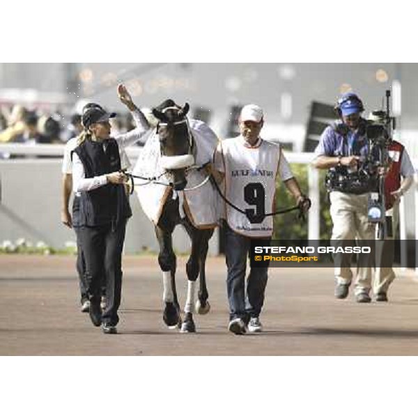 Rocket Man returns home after winning the Dubai Golden Shaheen Dubai - Meydan, 26th march 2011 ph.Stefano Grasso
