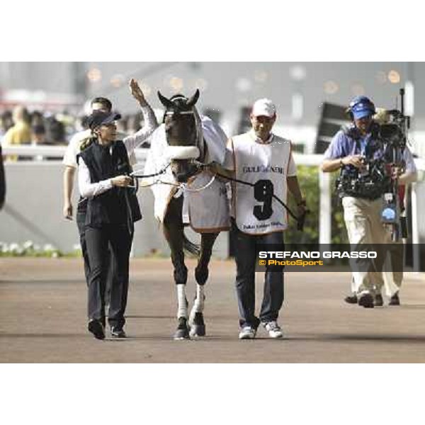 Rocket Man returns home after winning the Dubai Golden Shaheen Dubai - Meydan, 26th march 2011 ph.Stefano Grasso