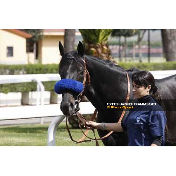a day at the races - Permesso Rome - Capannelle racetrack, 10th april 2011 ph.Stefano Grasso