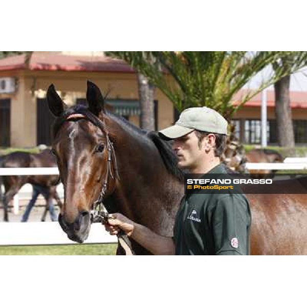 a day at the races - Branderburgo Rome - Capannelle racetrack, 10th april 2011 ph.Stefano Grasso