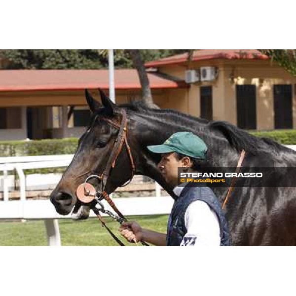 a day at the races - Lord Chaparral Rome - Capannelle racetrack, 10th april 2011 ph.Stefano Grasso