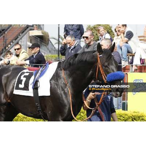 a day at the races - Permesso Rome - Capannelle racetrack, 10th april 2011 ph.Stefano Grasso