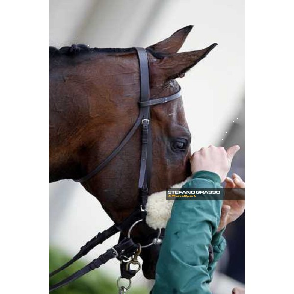 close up for Jakkalberry after winning the Premio Mario Locatelli Milan - San Siro racetrack, 16th april 2011 ph.Stefano Grasso