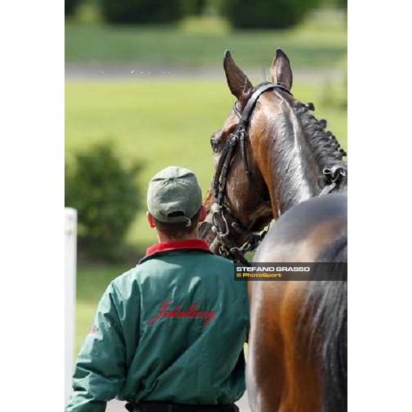 close up for Jakkalberry after winning the Premio Mario Locatelli Milan - San Siro racetrack, 16th april 2011 ph.Stefano Grasso
