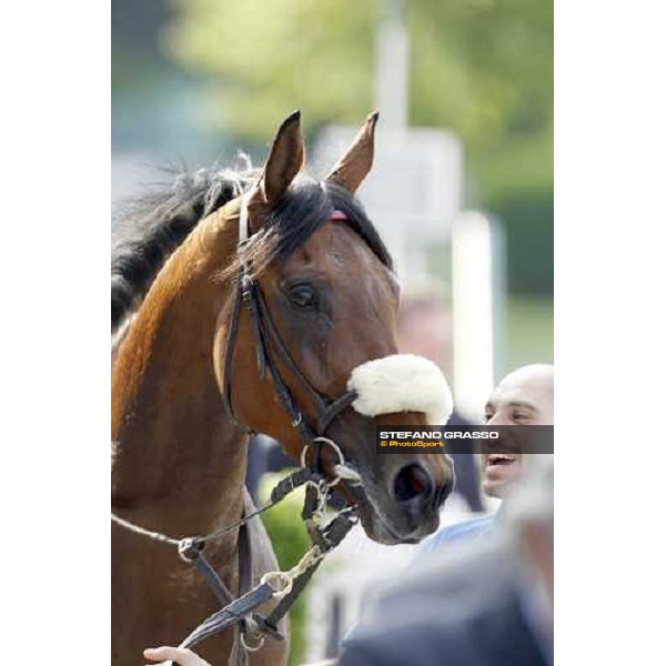 Sneak a Peek after winning the Premio Emanuele Filiberto Milan - San Siro racetrack, 16th april 2011 ph.Stefano Grasso