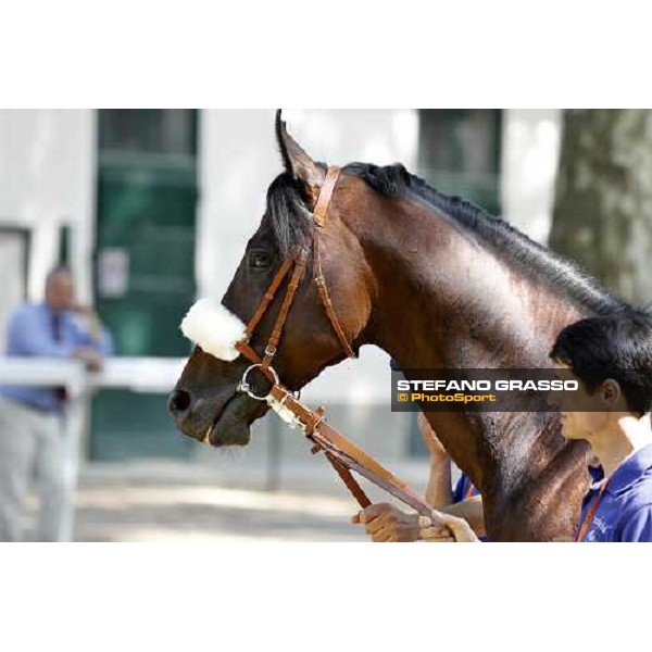 The Derby winner Worthadd Milan - San Siro racetrack, 24th april 2011 ph.Stefano Grasso