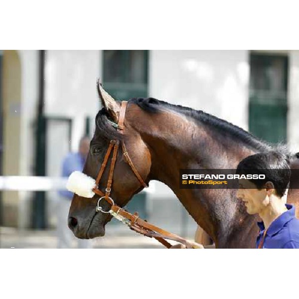 The Derby winner Worthadd Milan - San Siro racetrack, 24th april 2011 ph.Stefano Grasso