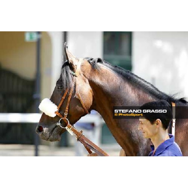 The Derby winner Worthadd Milan - San Siro racetrack, 24th april 2011 ph.Stefano Grasso