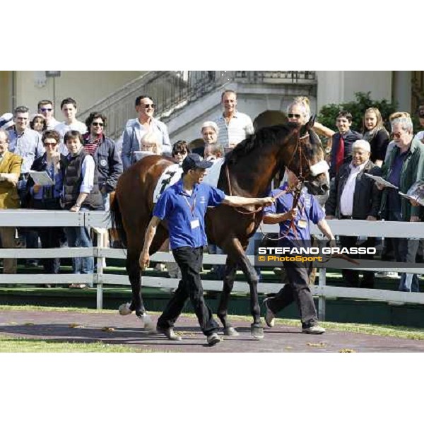 The Derby winner Worthadd Milan - San Siro racetrack, 24th april 2011 ph.Stefano Grasso