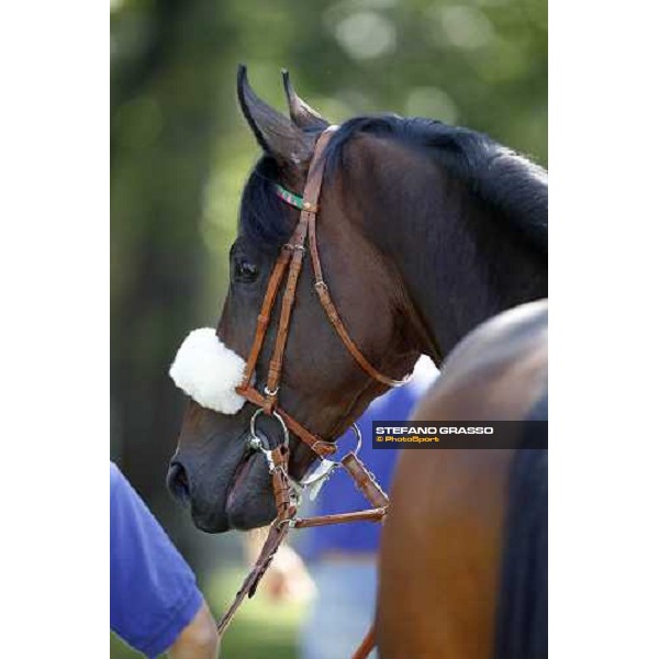 The Derby winner Worthadd Milan - San Siro racetrack, 24th april 2011 ph.Stefano Grasso