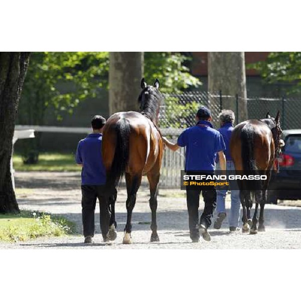 The Derby winner Worthadd Milan - San Siro racetrack, 24th april 2011 ph.Stefano Grasso