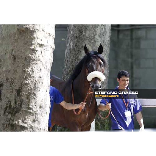 The Derby winner Worthadd Milan - San Siro racetrack, 24th april 2011 ph.Stefano Grasso