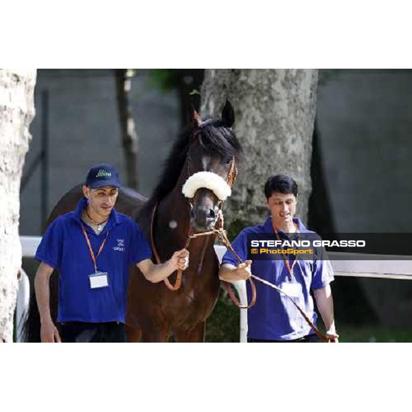 The Derby winner Worthadd Milan - San Siro racetrack, 24th april 2011 ph.Stefano Grasso