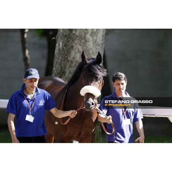 The Derby winner Worthadd Milan - San Siro racetrack, 24th april 2011 ph.Stefano Grasso