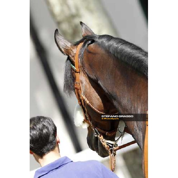 The Derby winner Worthadd Milan - San Siro racetrack, 24th april 2011 ph.Stefano Grasso