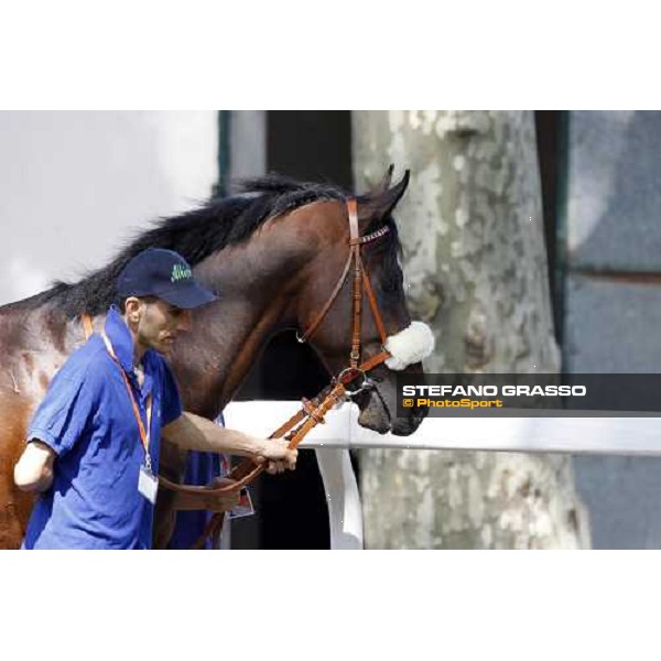 The Derby winner Worthadd Milan - San Siro racetrack, 24th april 2011 ph.Stefano Grasso