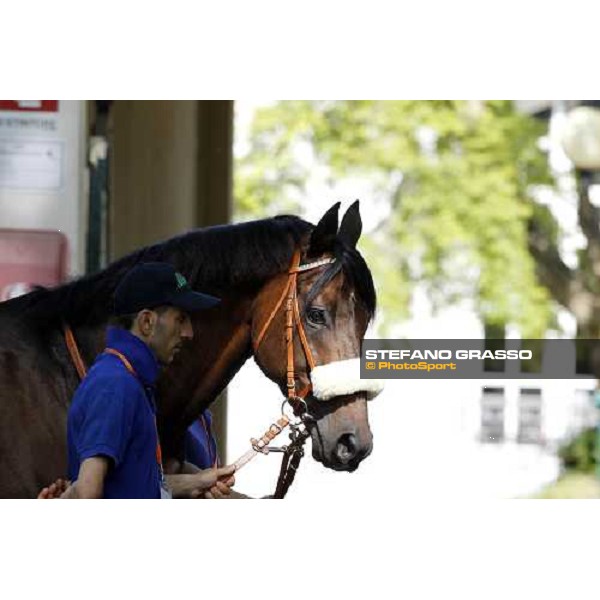 The Derby winner Worthadd Milan - San Siro racetrack, 24th april 2011 ph.Stefano Grasso