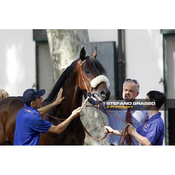 The Derby winner Worthadd Milan - San Siro racetrack, 24th april 2011 ph.Stefano Grasso