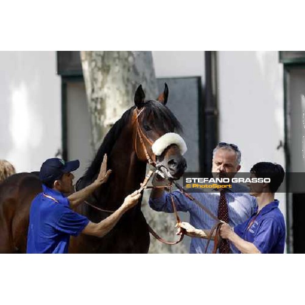 The Derby winner Worthadd Milan - San Siro racetrack, 24th april 2011 ph.Stefano Grasso