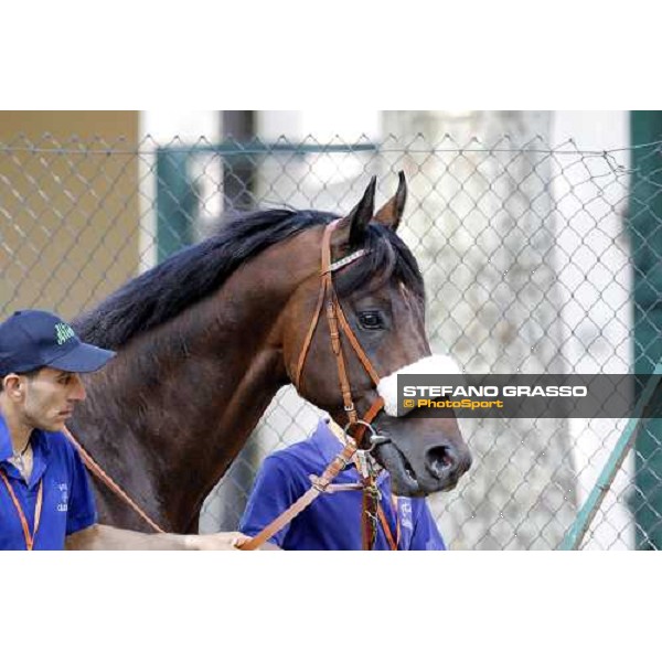 The Derby winner Worthadd Milan - San Siro racetrack, 24th april 2011 ph.Stefano Grasso