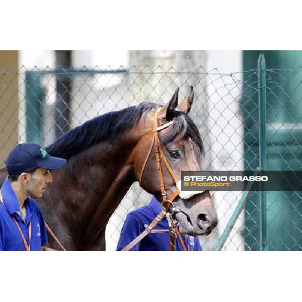 The Derby winner Worthadd Milan - San Siro racetrack, 24th april 2011 ph.Stefano Grasso