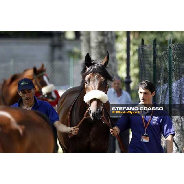 The Derby winner Worthadd Milan - San Siro racetrack, 24th april 2011 ph.Stefano Grasso