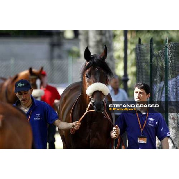 The Derby winner Worthadd Milan - San Siro racetrack, 24th april 2011 ph.Stefano Grasso