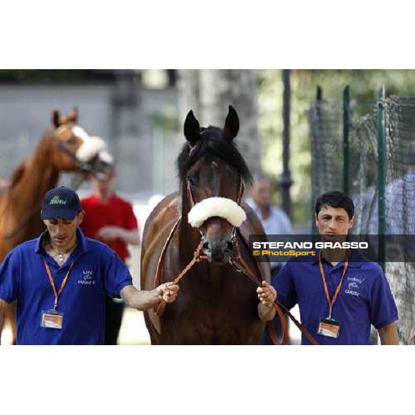 The Derby winner Worthadd Milan - San Siro racetrack, 24th april 2011 ph.Stefano Grasso