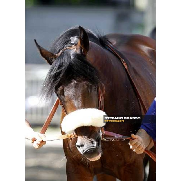 The Derby winner Worthadd Milan - San Siro racetrack, 24th april 2011 ph.Stefano Grasso