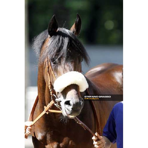 The Derby winner Worthadd Milan - San Siro racetrack, 24th april 2011 ph.Stefano Grasso