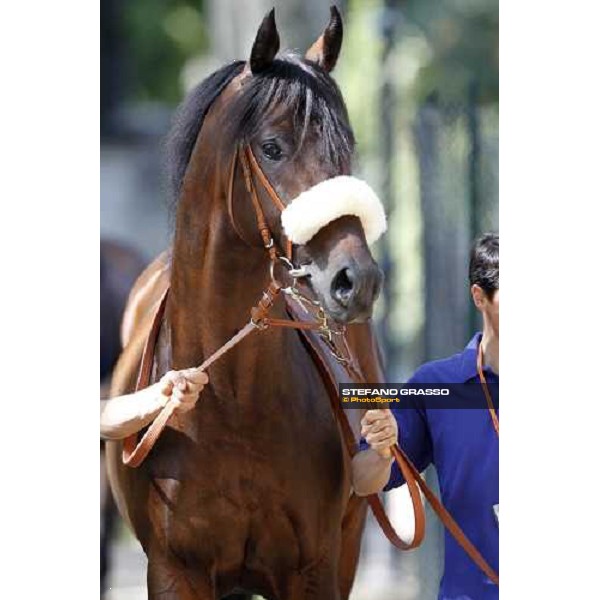 The Derby winner Worthadd Milan - San Siro racetrack, 24th april 2011 ph.Stefano Grasso