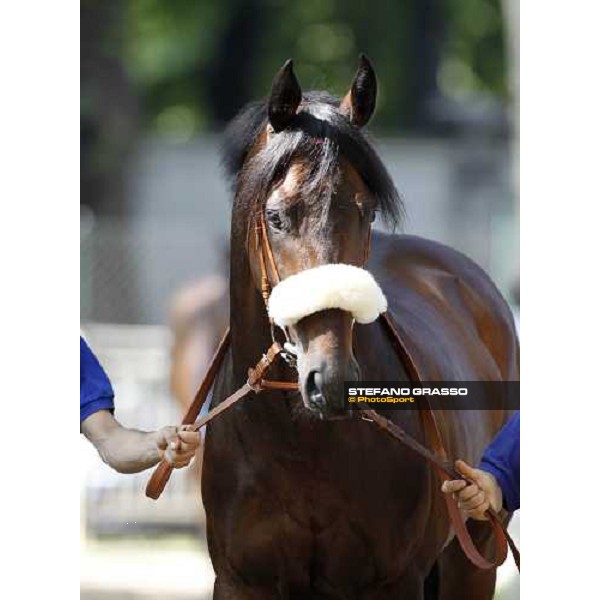 The Derby winner Worthadd Milan - San Siro racetrack, 24th april 2011 ph.Stefano Grasso