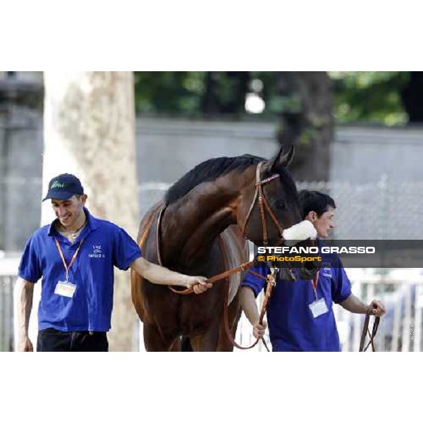 The Derby winner Worthadd Milan - San Siro racetrack, 24th april 2011 ph.Stefano Grasso