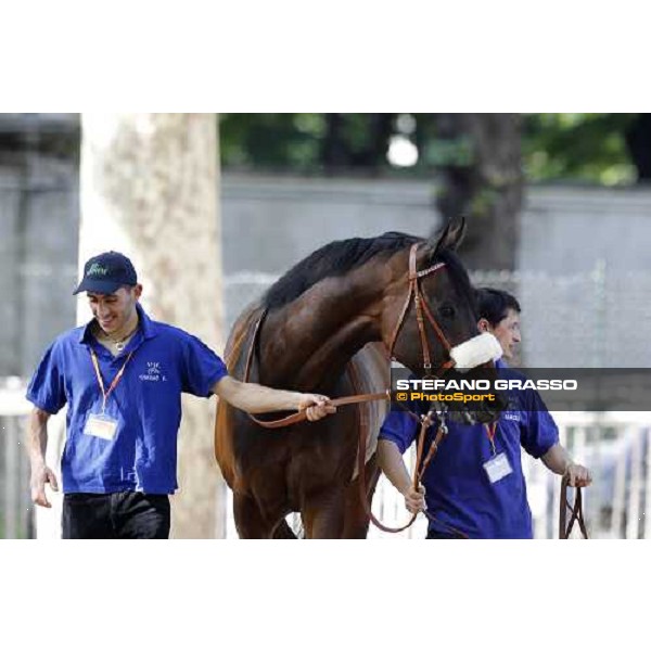 The Derby winner Worthadd Milan - San Siro racetrack, 24th april 2011 ph.Stefano Grasso