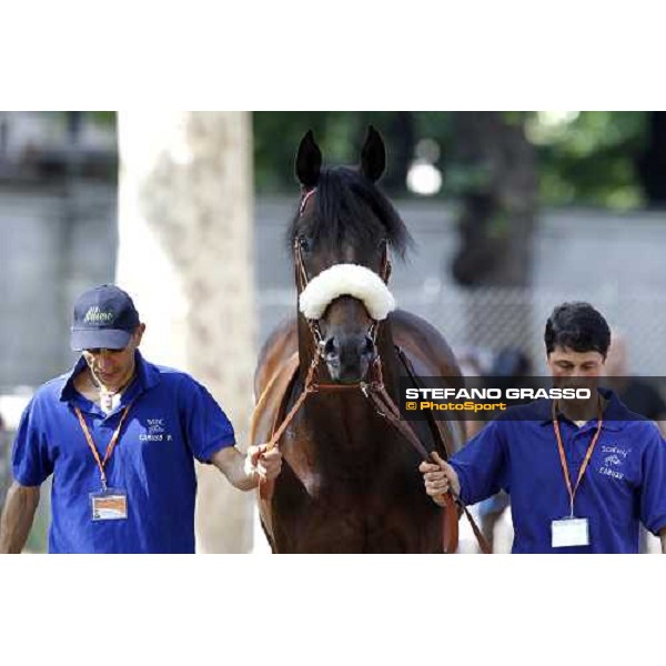 The Derby winner Worthadd Milan - San Siro racetrack, 24th april 2011 ph.Stefano Grasso