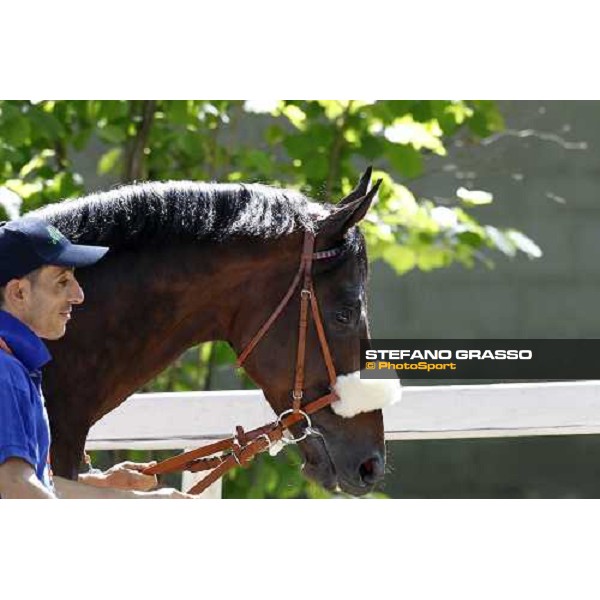 The Derby winner Worthadd Milan - San Siro racetrack, 24th april 2011 ph.Stefano Grasso