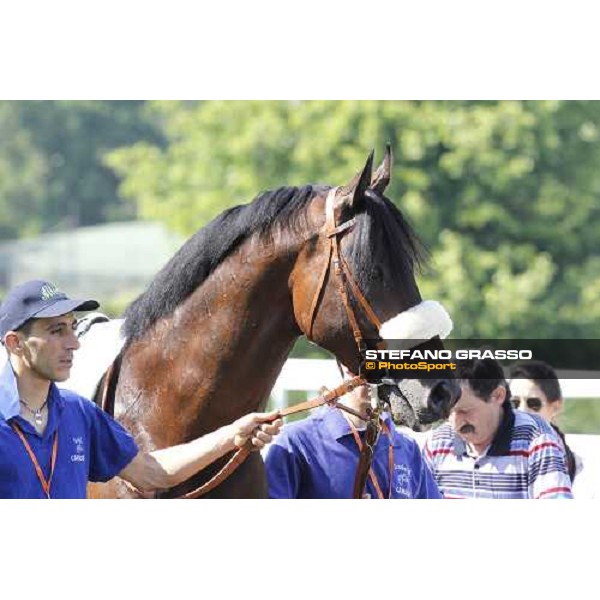 The Derby winner Worthadd Milan - San Siro racetrack, 24th april 2011 ph.Stefano Grasso