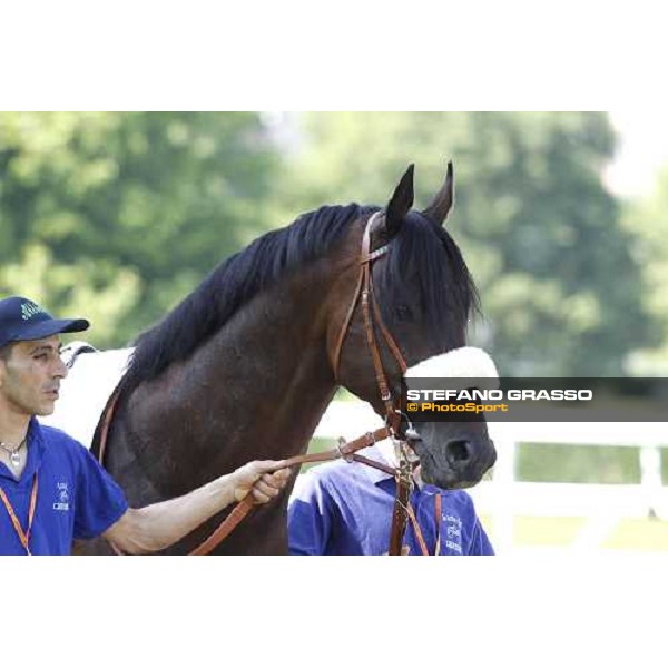 The Derby winner Worthadd Milan - San Siro racetrack, 24th april 2011 ph.Stefano Grasso