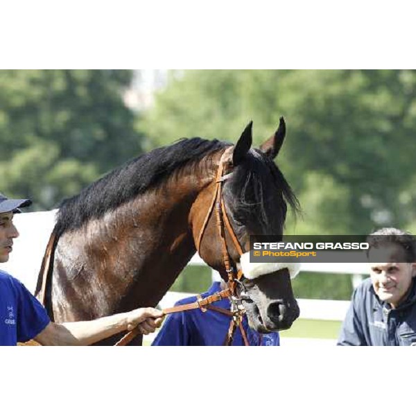 The Derby winner Worthadd Milan - San Siro racetrack, 24th april 2011 ph.Stefano Grasso