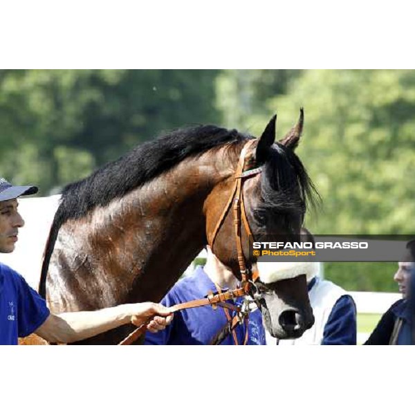 The Derby winner Worthadd Milan - San Siro racetrack, 24th april 2011 ph.Stefano Grasso