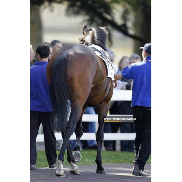 The Derby winner Worthadd Milan - San Siro racetrack, 24th april 2011 ph.Stefano Grasso