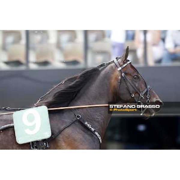 Nadir Kronos warming up before the Gran Premio d\'Europa Milan- San Siro racetrack, 25th april 2011 ph.Stefano Grasso